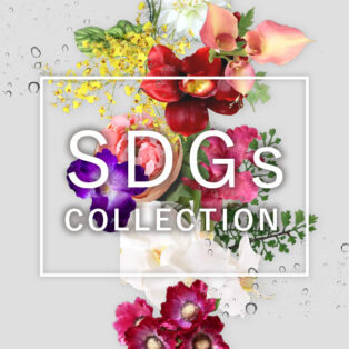 【NEW ARRIVAL】SDGs COLLECTION