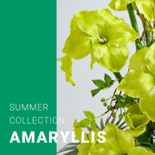 【NEW ARRIVAL】SUMMER COLLECTION-Amaryllis-