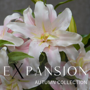 【NEW ARRIVAL】AUTUMN COLLECTION-Rose Lily/Cattleya-