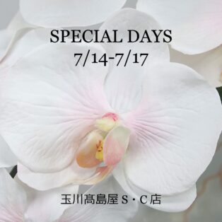 【SPECIAL DAYS開催】玉川髙島屋S・C店