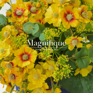 【NEW ARRIVAL】AUTUMN COLLECTION