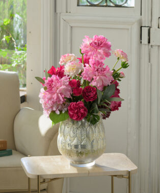 モロッコラナンキュラス3L25