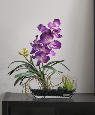 ★花器変更★バンダボタニック2L25pu