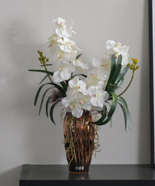 バンダボタニック2L25wh