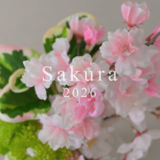 【NEW ARRIVAL】SAKURA COLLECTION