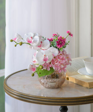 ファレノプシスリップピンクL26