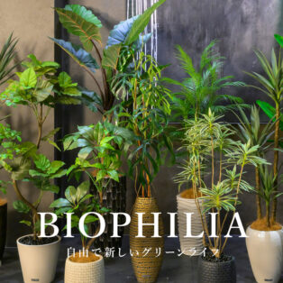 【NEW ARRIVAL】BIOPHILIA