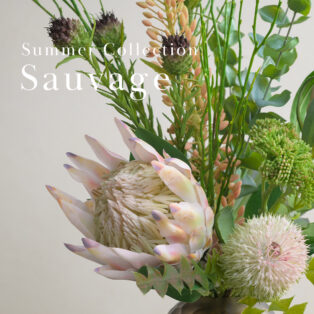 【NEW ARRIVAL】SUMMER COLLECTION
