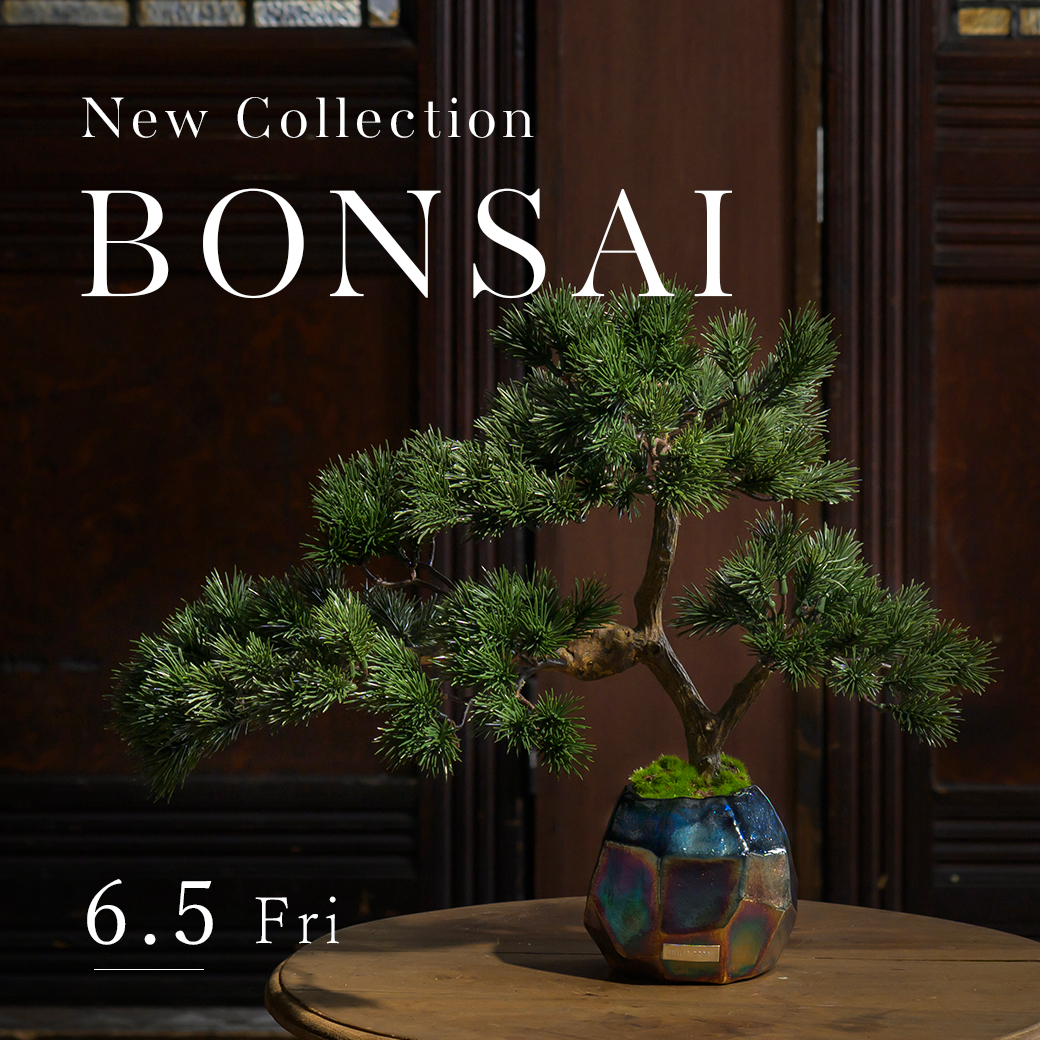 NEW ARRIVAL】BONSAI COLLECTION | エミリオロバ | EMILIO ROBBA
