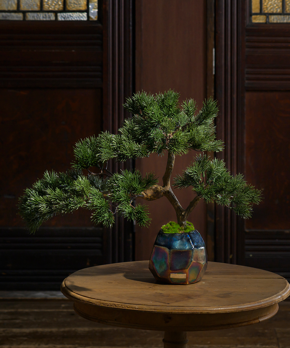 BONSAI2L26-a | エミリオロバ | EMILIO ROBBA