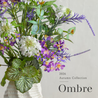 【NEW ARRIVAL】AUTUMN COLLECTION
